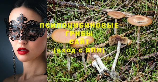 кокс Баксан