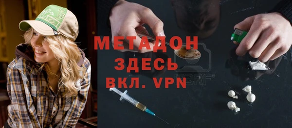 индика Волоколамск