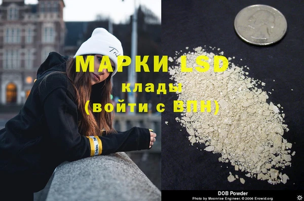 гашик Аркадак