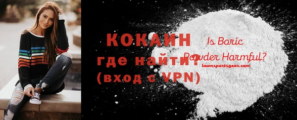 прущие грибы Киреевск