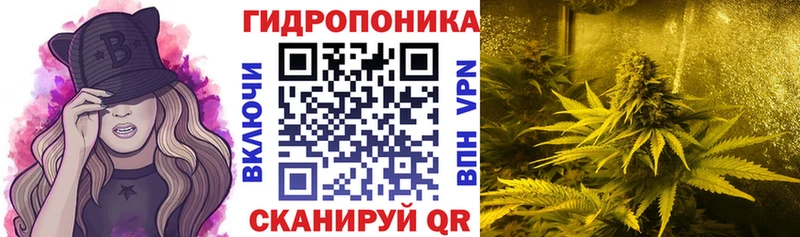 Канабис AK-47  mega зеркало  Шагонар 